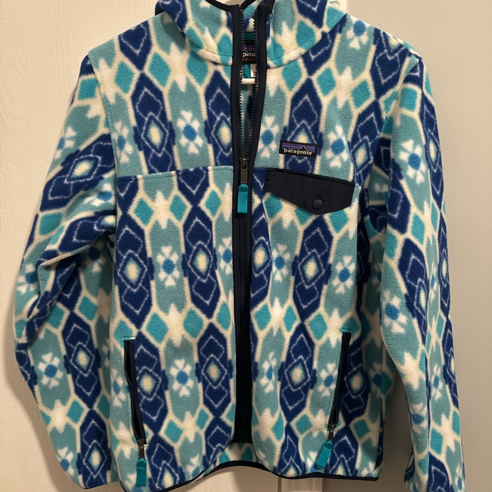 Patagonia jacket NWOT with hood